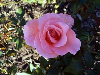 photos 2000-200902530
